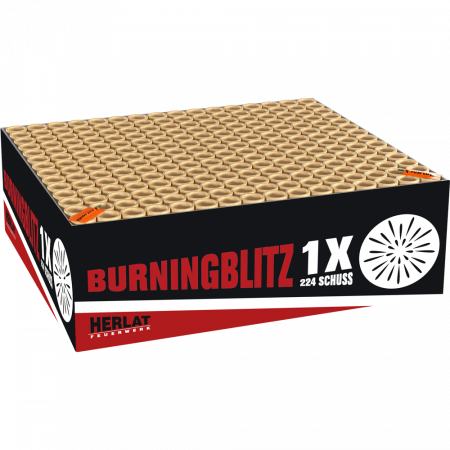 01613 Burning Blitz