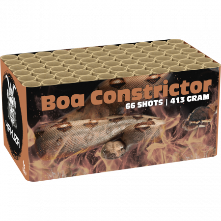 03257 Boa Constrictor