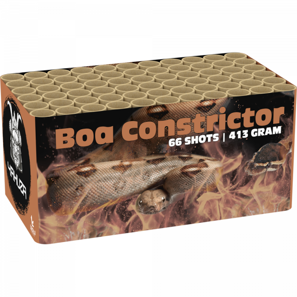 03257 Boa Constrictor
