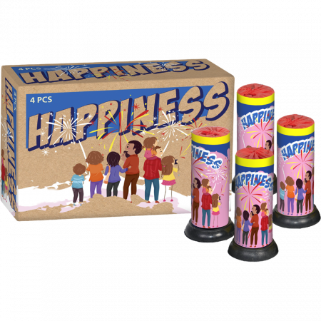03787 Happiness