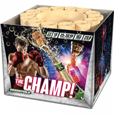 04345 The Champ!