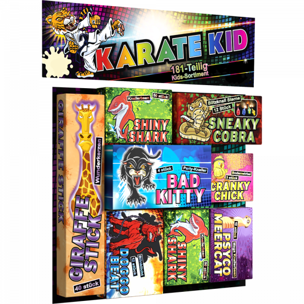 04571 Karate Kid