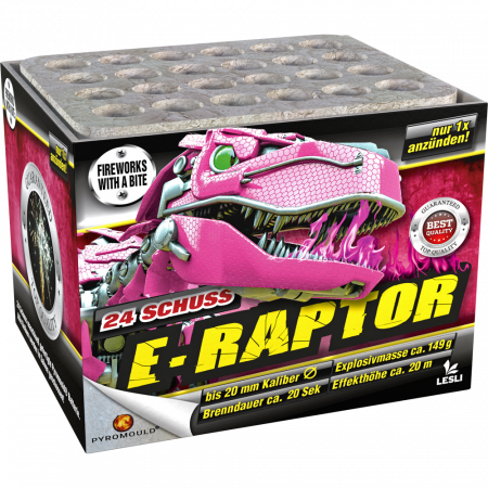 04976 E-Raptor