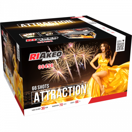 06456 Attraction