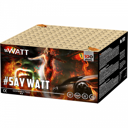 1072 Say Watt