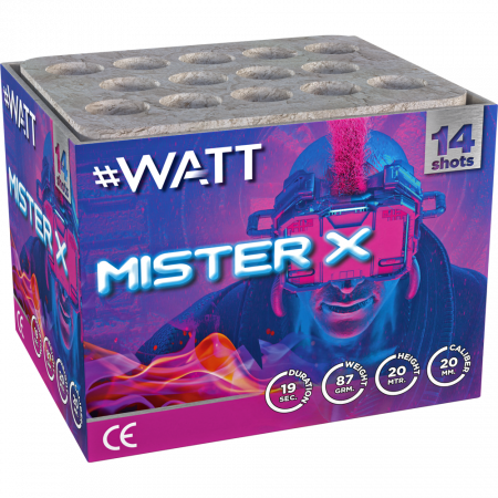 2551 Mister X