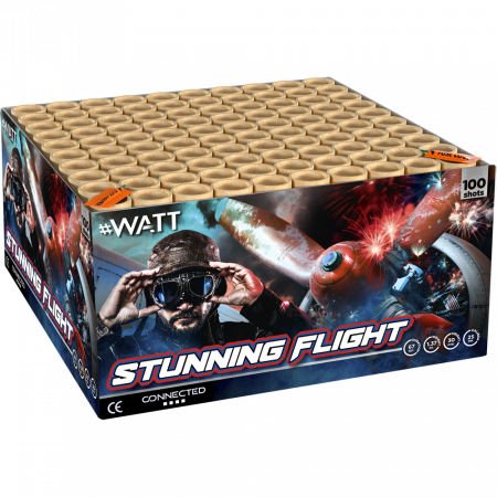 2576 Stunning Flight