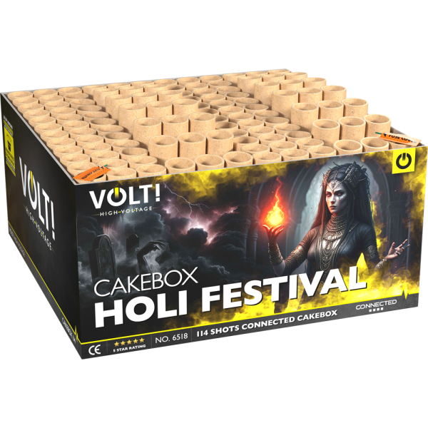 6518 Holi Festival