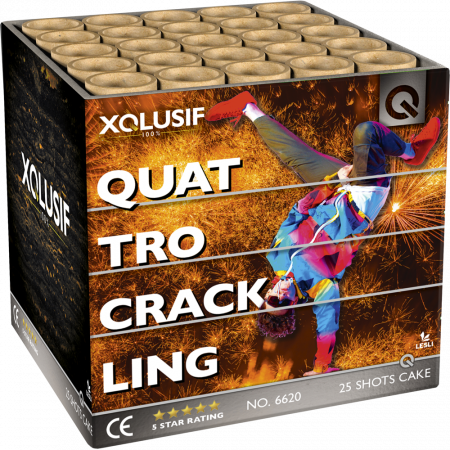 6620 Quattro Crackling