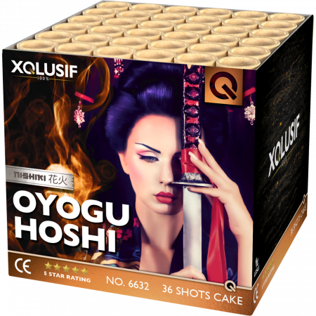 6632 Oyogu Hoshi